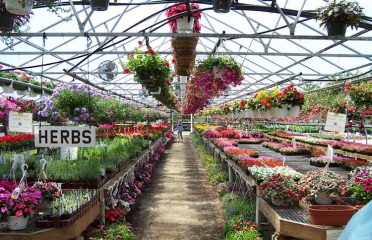 Nutmeg Farm Garden Center