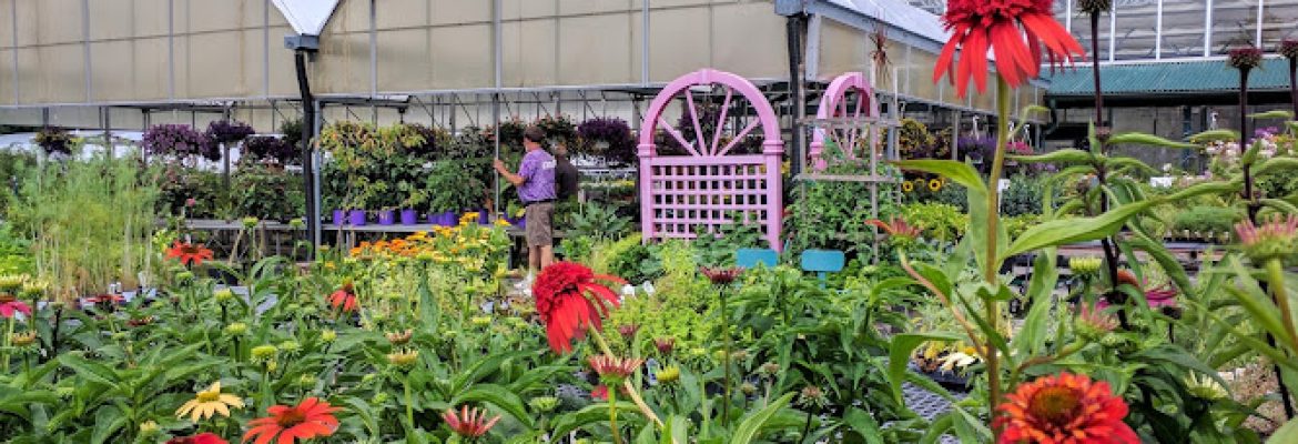 Riggio’s Garden Center