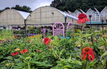 Riggio’s Garden Center