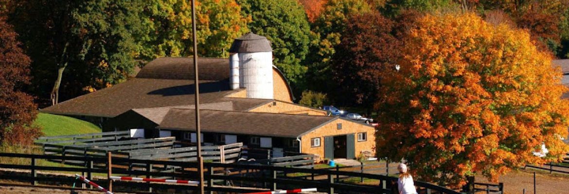 Willow Creek Farm