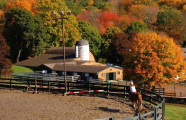 Willow Creek Farm