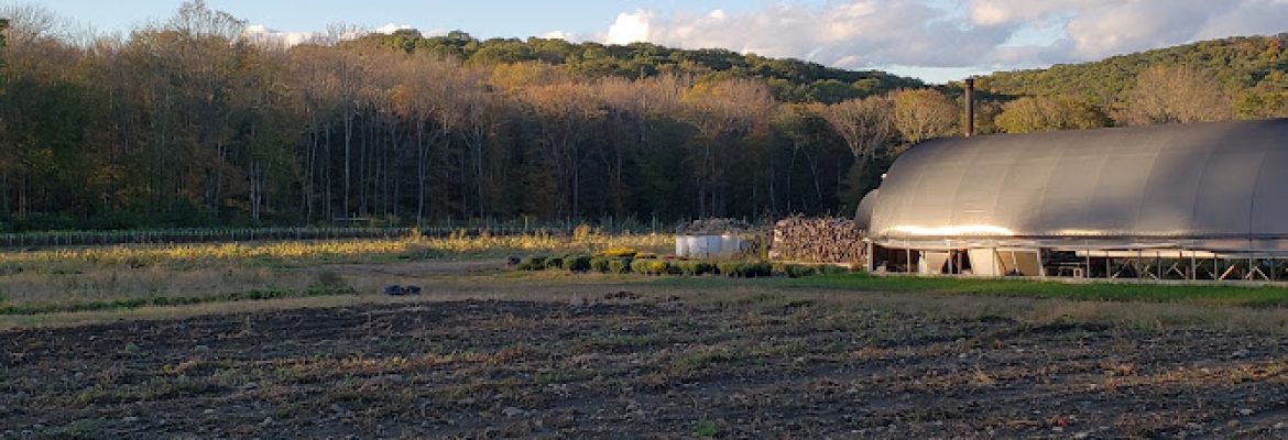 Bluebird Hill Farm