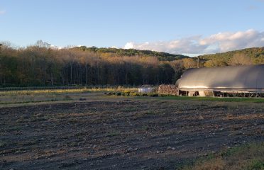 Bluebird Hill Farm