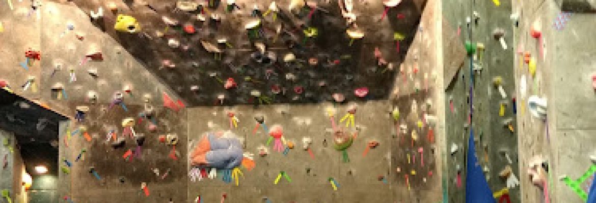 Stone Age Rock Gym