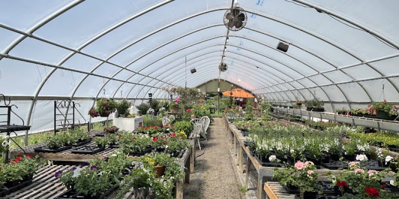 Pumpkin Brook Farm