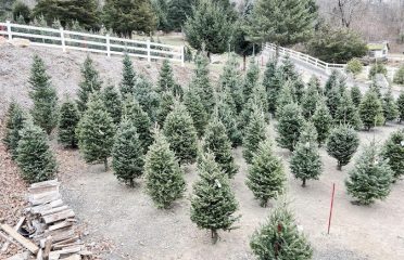 Star Hill Family Farm