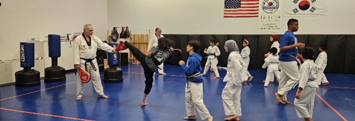 Hansoo Tae Kwon Do: Korean Martial Arts