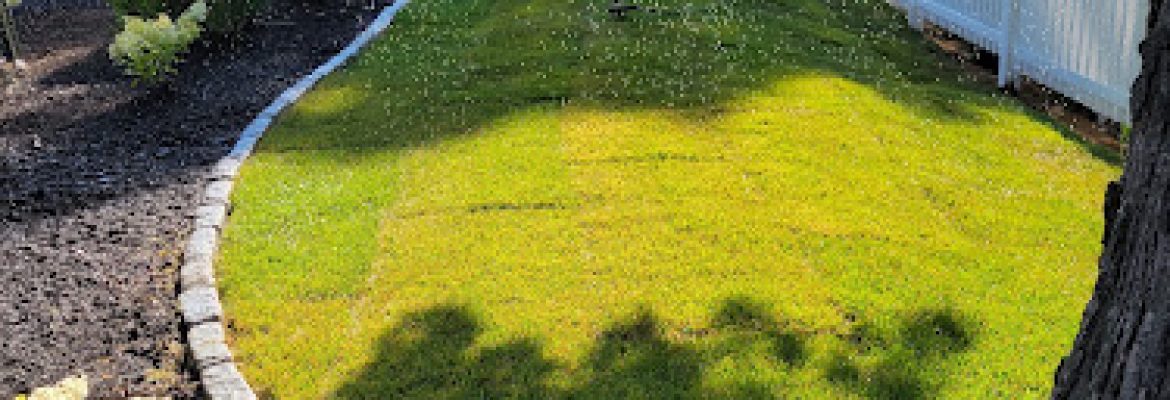 United Landscaping & Tree Service