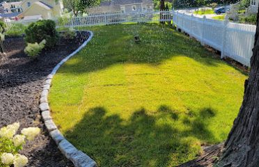 United Landscaping & Tree Service