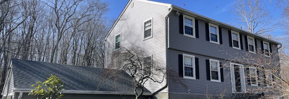 Skyway Roofing