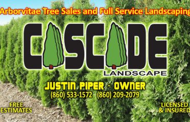 Cascade Landscape