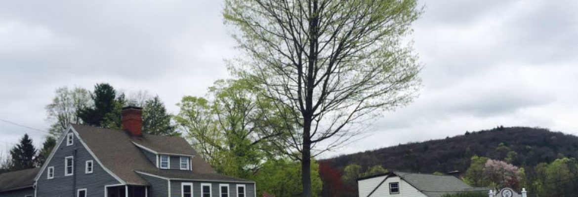 Ward Kilduff Mortgage