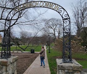 Greenwich Common
