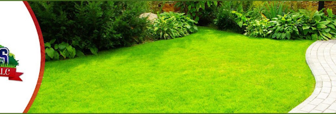 Posada’s Landscaping Llc