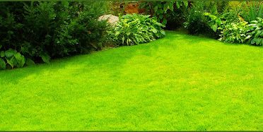 Posada’s Landscaping Llc