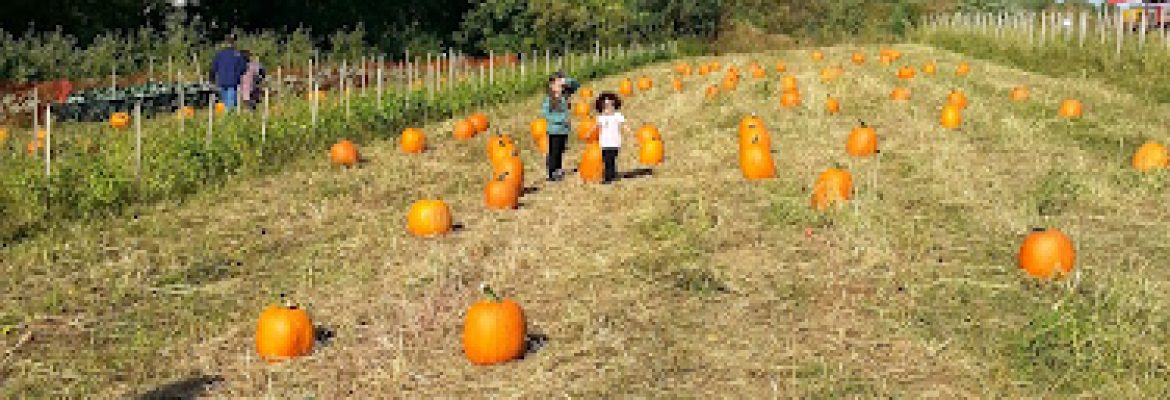 Karabin Farms