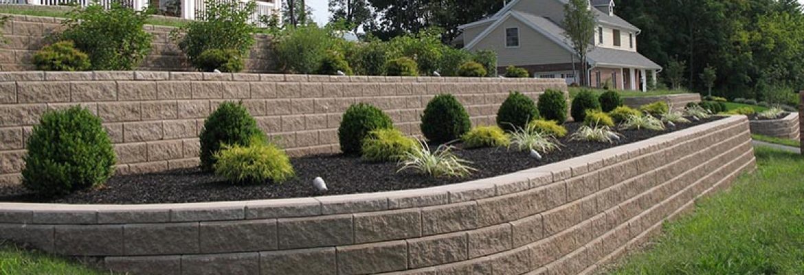 Solid Stone Masonry LLC