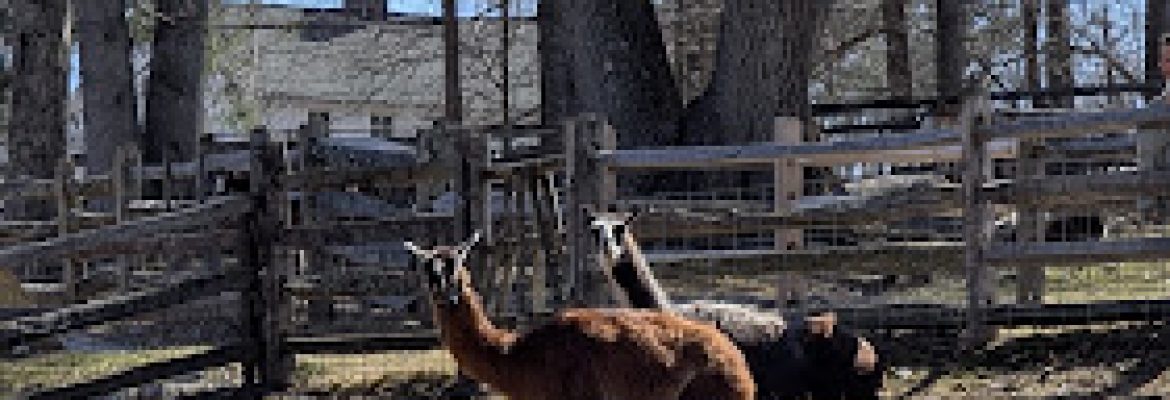 Heckscher Farm