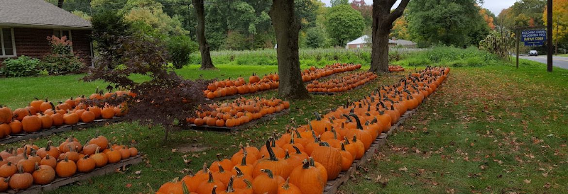 Bielonko Farms, LLC