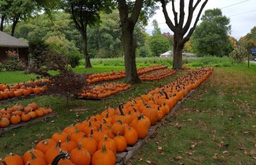 Bielonko Farms, LLC