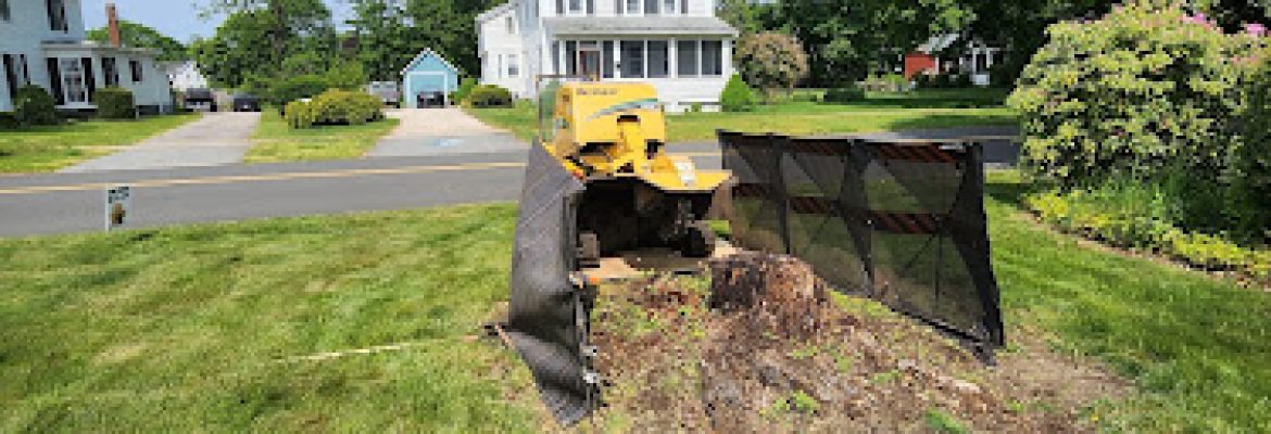 Falcon Stump Grinding LLC