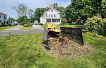 Falcon Stump Grinding LLC