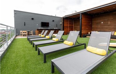 The Novella Apartments