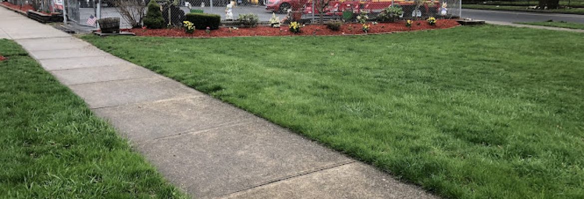 Centi’s Landscaping LLC & Tree Removal Services