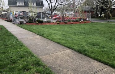 Centi’s Landscaping LLC & Tree Removal Services