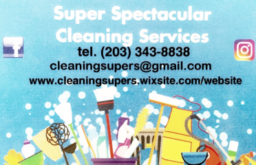 Super Spectacular Cleaning Service