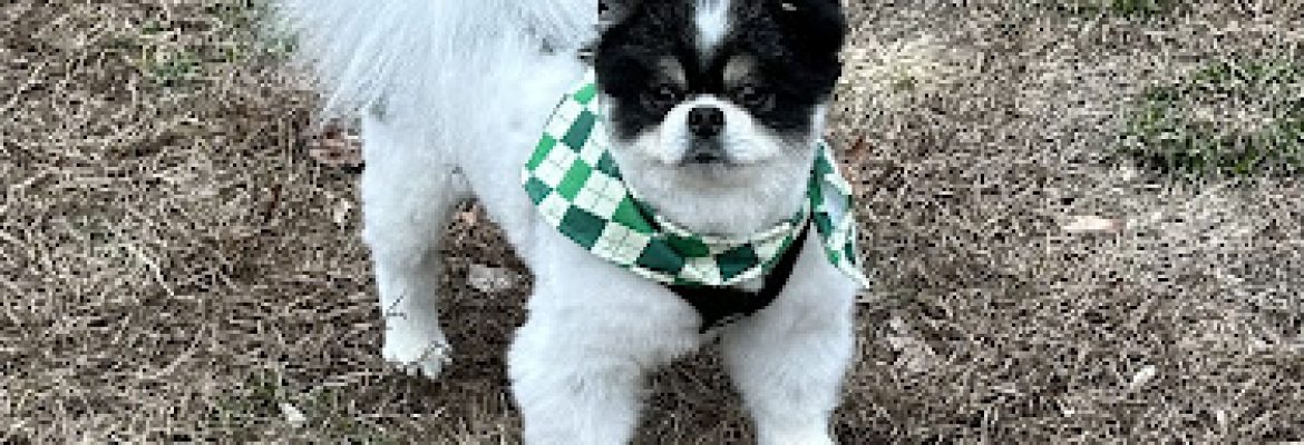Fur-Ever Friends LLC