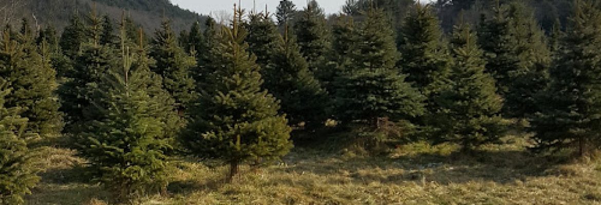 Bakerville Farm
