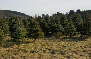 Bakerville Farm