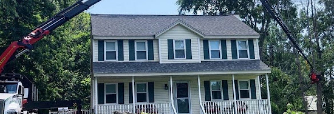 West Hartford Tree Services