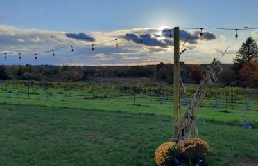 Arrowhead Acres