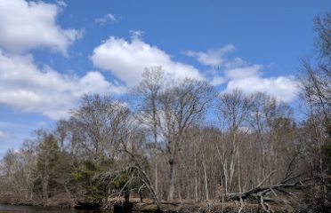 Philip Lauter Park