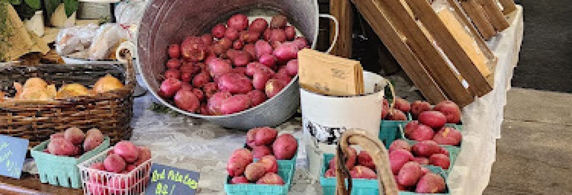 Northern Farm and Flowers LLC