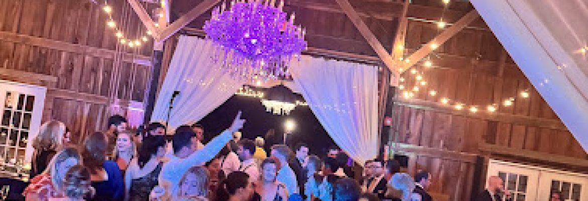 Sneek Ent DJ Services